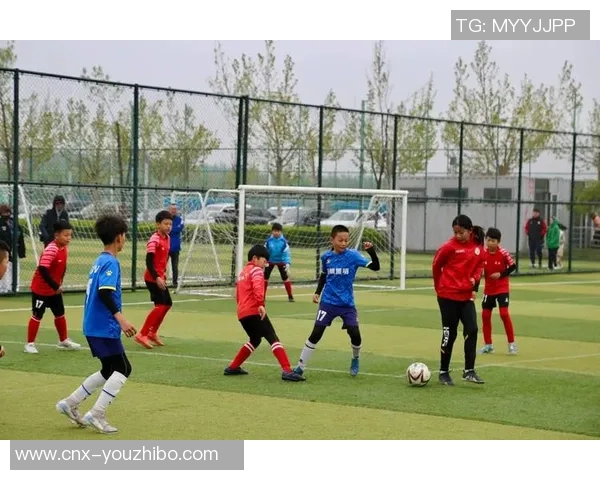 提升足球的质量从青训体系到职业联赛的全面发展探讨